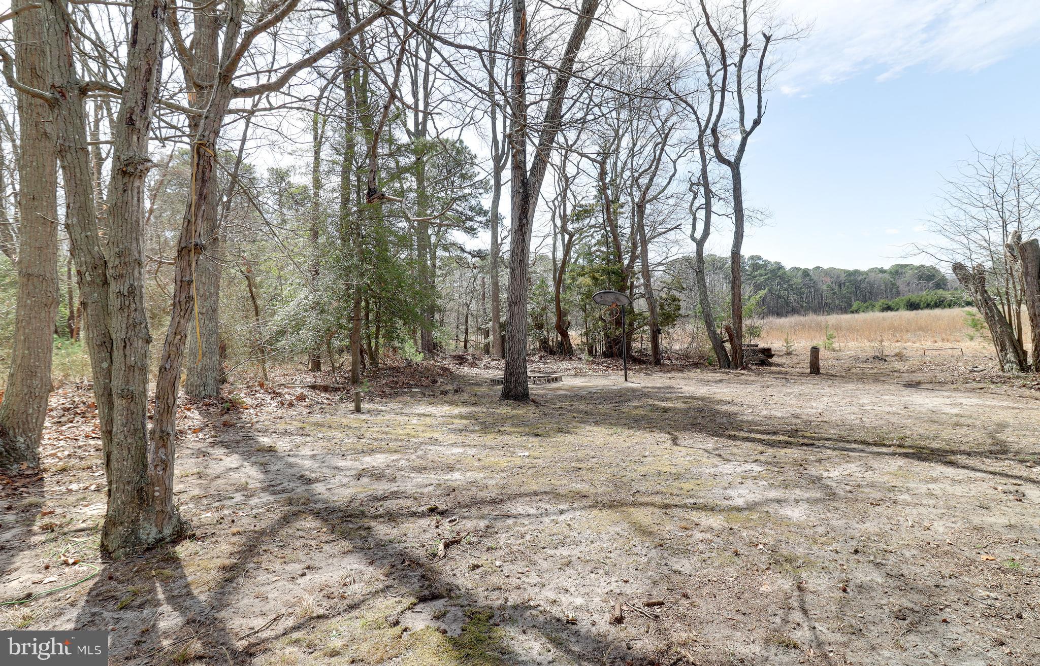 519 Back Neck Road Bridgeton, NJ 08302 - Photo 3 of 12