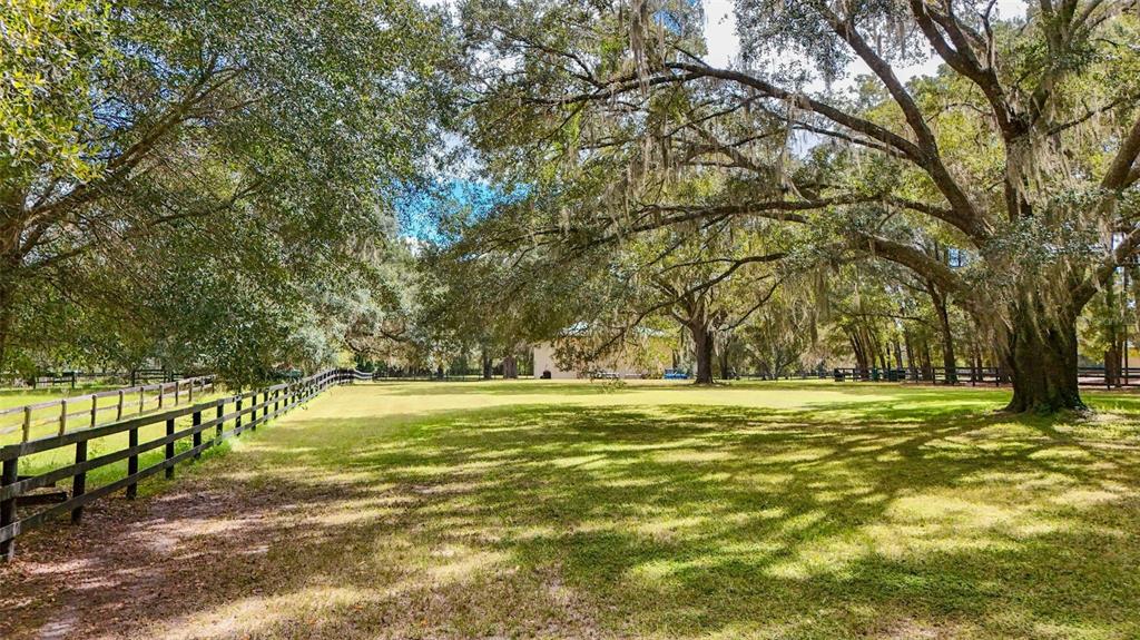 3 Carry Back Road Ocala, FL 34482 - Photo 81 of 85 Gallery Image 81