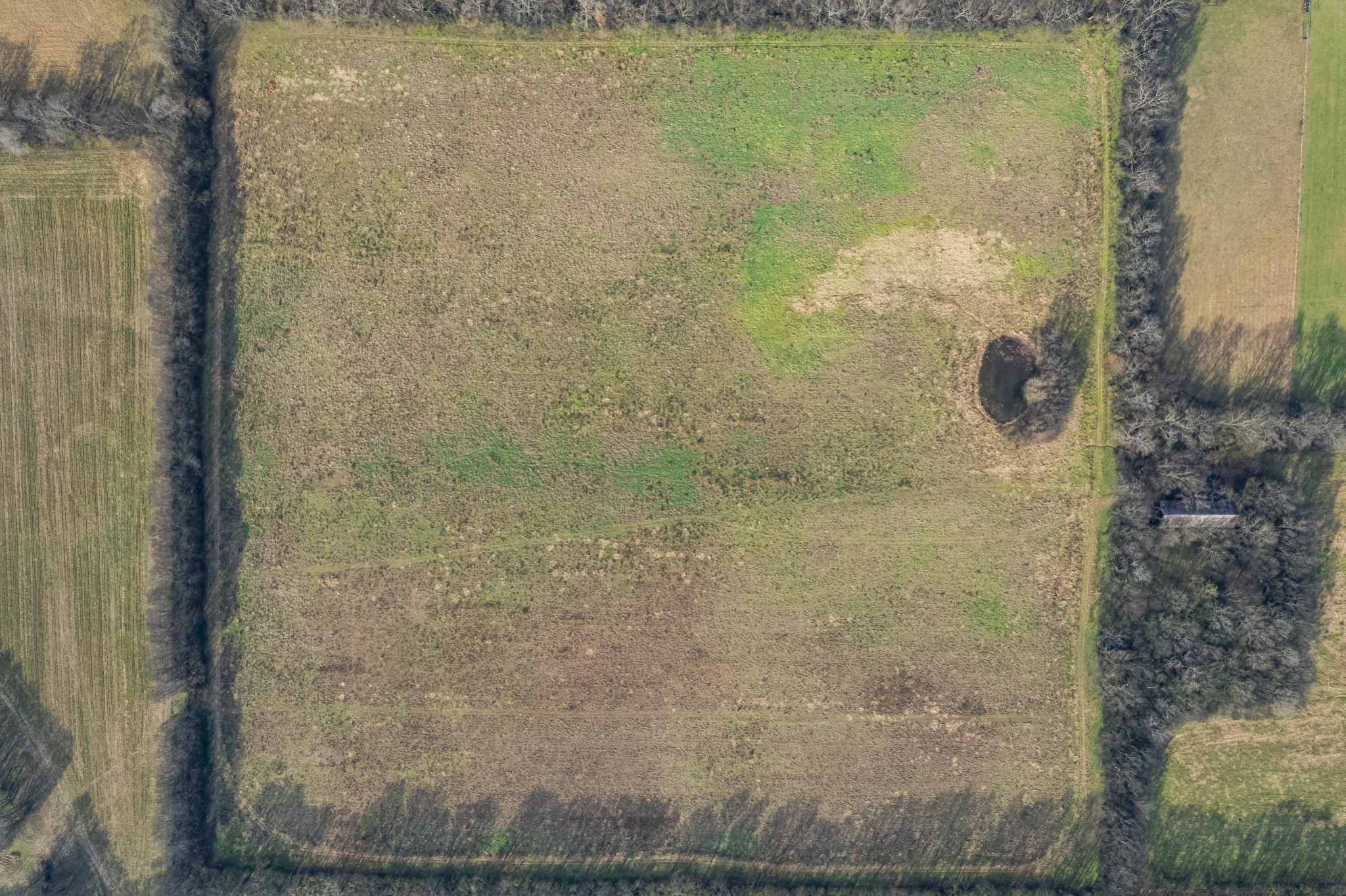 815 South Cross Bridges Road Mount Pleasant, TN 38474 - Photo 12 of 62 a bathroom with a shower