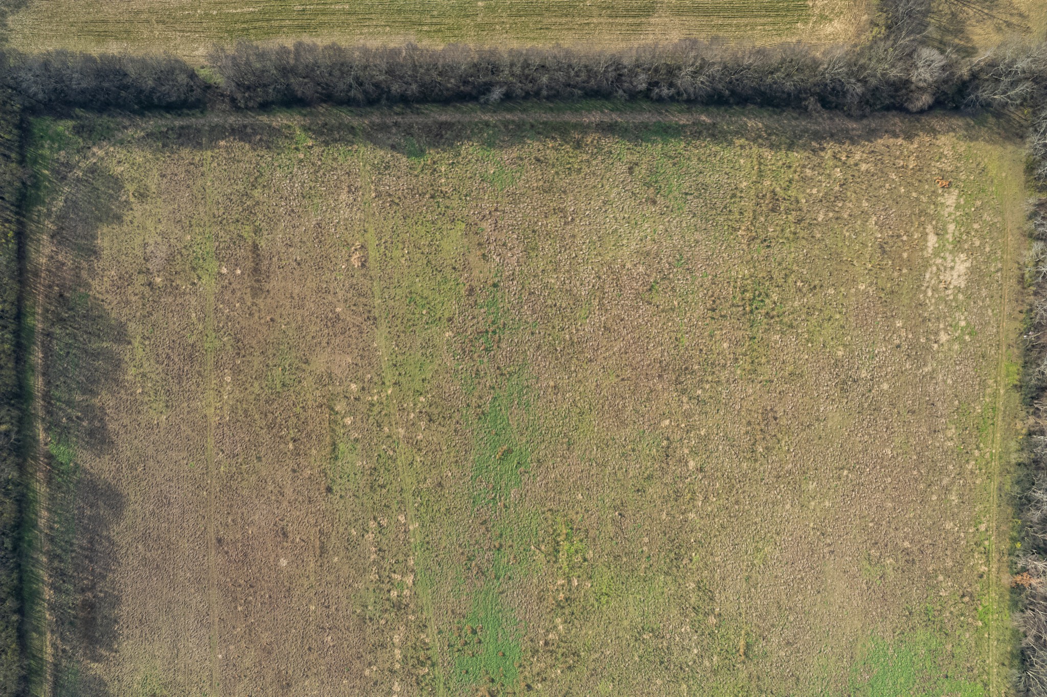 815 South Cross Bridges Road Mount Pleasant, TN 38474 - Photo 13 of 62 a view of a lake view