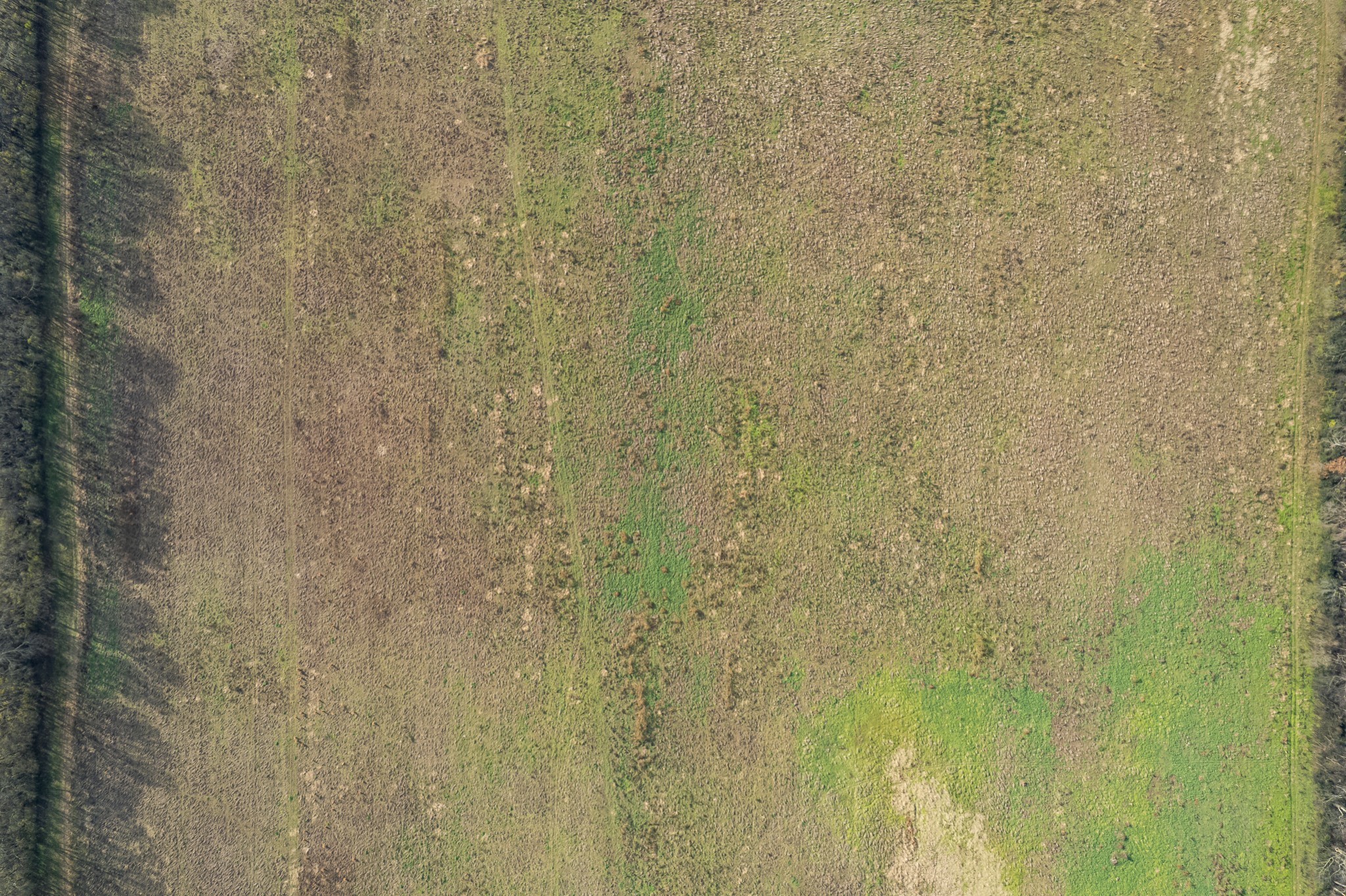 815 South Cross Bridges Road Mount Pleasant, TN 38474 - Photo 14 of 62 a bathroom with a shower curtain