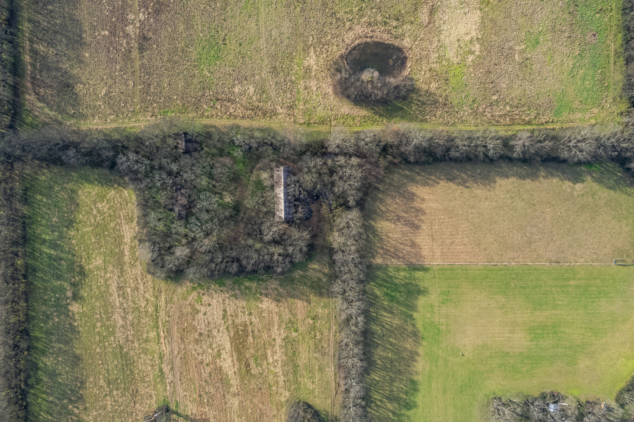 815 South Cross Bridges Road Mount Pleasant, TN 38474 - Photo 16 of 62