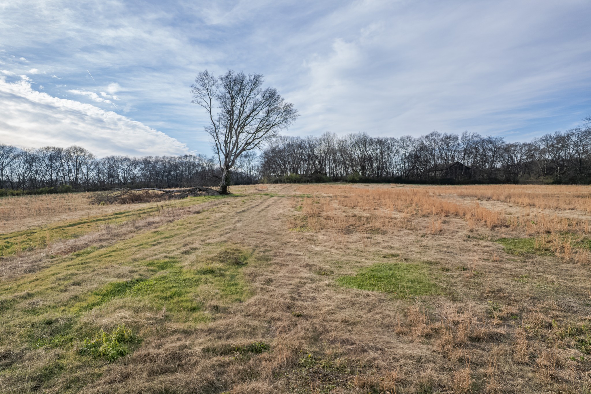 815 South Cross Bridges Road Mount Pleasant, TN 38474 - Photo 26 of 62 a view of an ocean beach