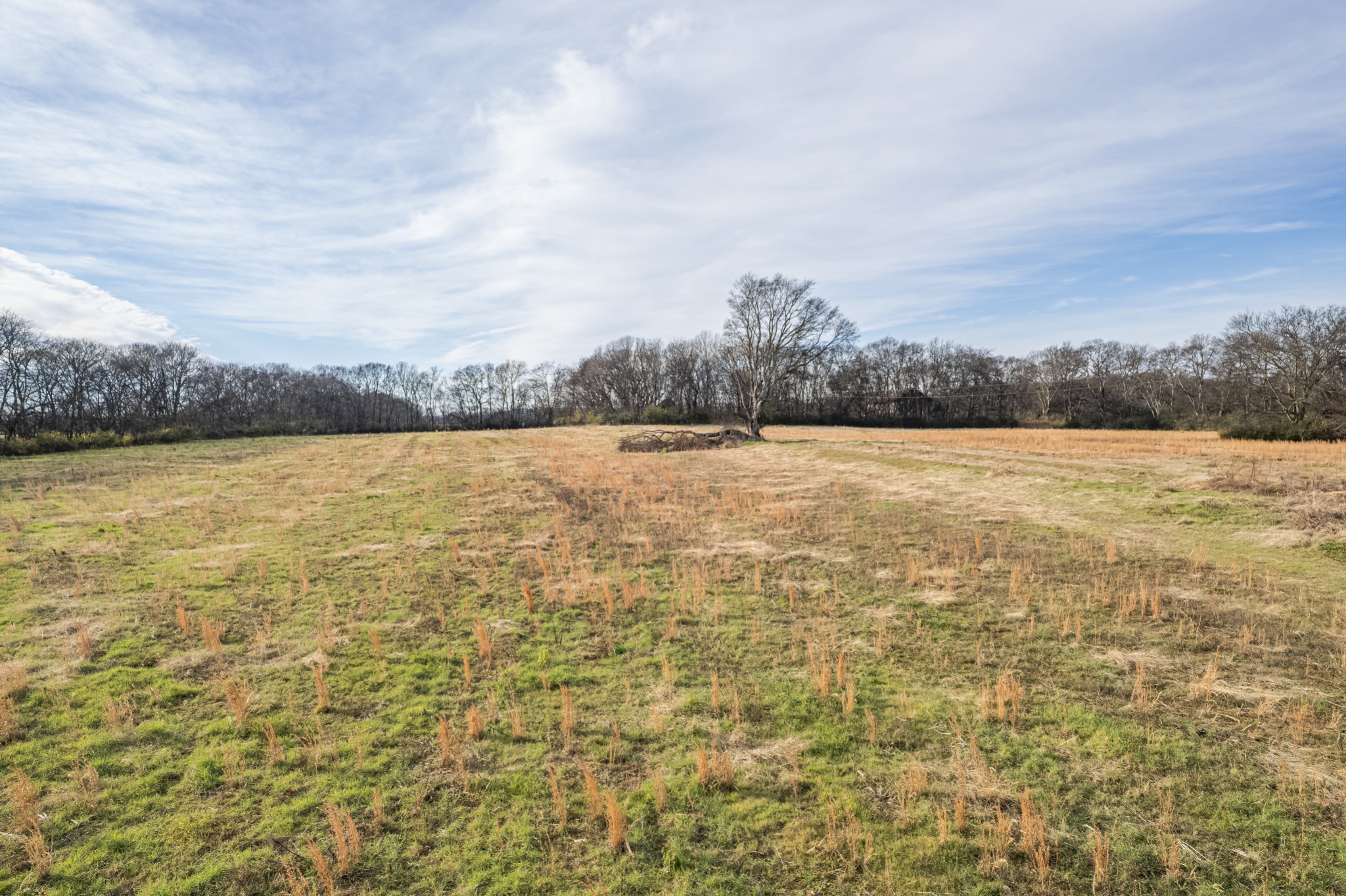 815 South Cross Bridges Road Mount Pleasant, TN 38474 - Photo 28 of 62 a view of an ocean and beach
