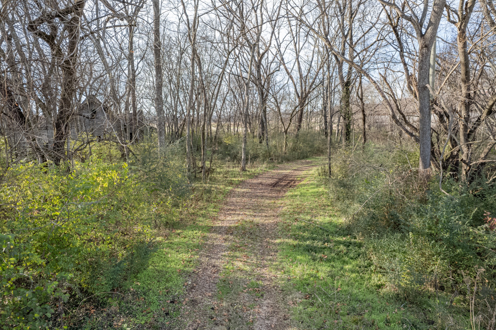 815 South Cross Bridges Road Mount Pleasant, TN 38474 - Photo 34 of 62 a backyard of a house with lots of green space and trees
