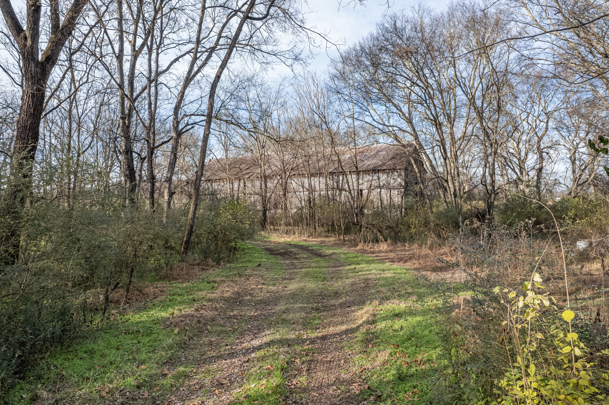 815 South Cross Bridges Road Mount Pleasant, TN 38474 - Photo 36 of 62 a backyard of a house with lots of green space