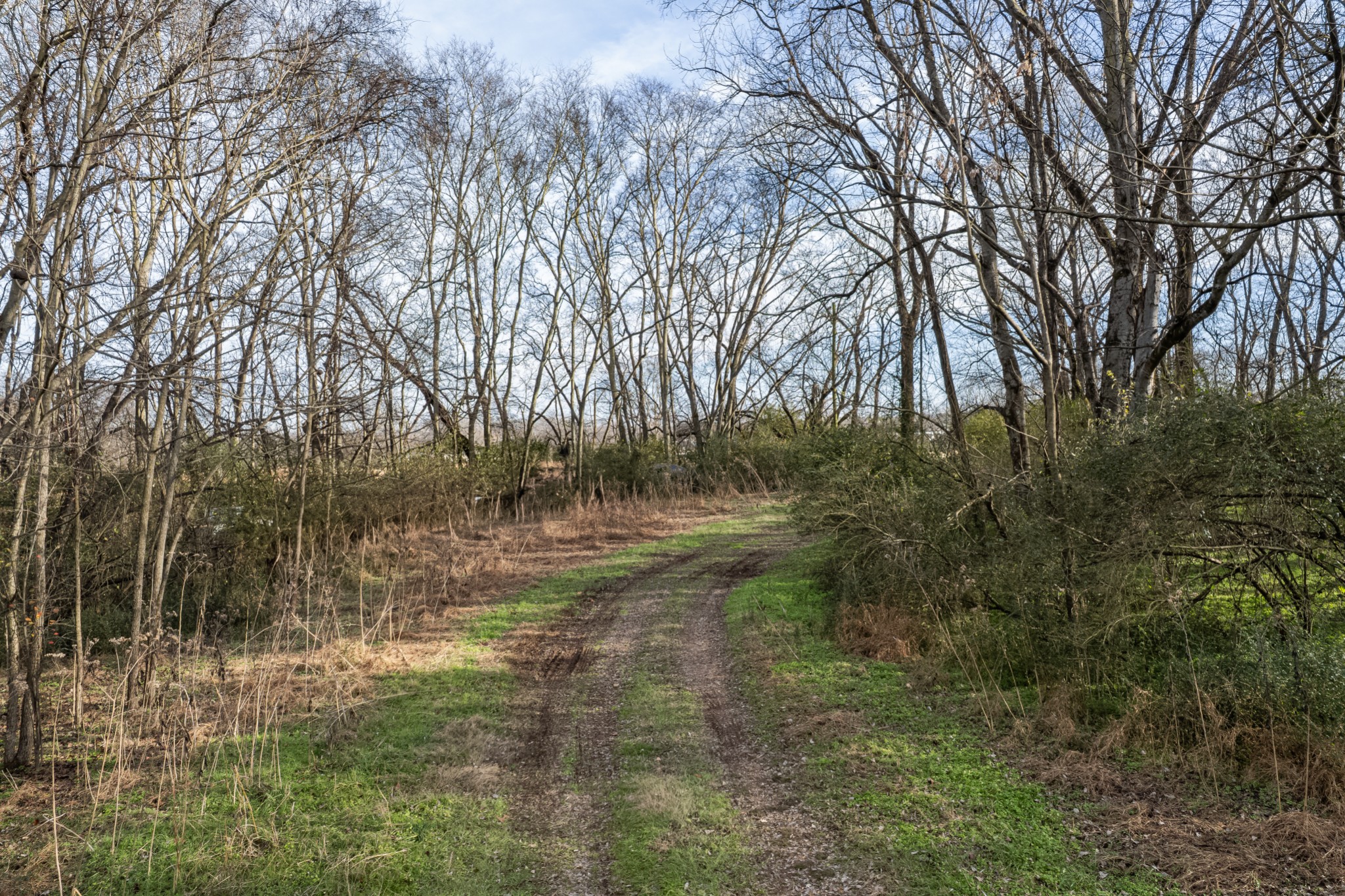 815 South Cross Bridges Road Mount Pleasant, TN 38474 - Photo 37 of 62
