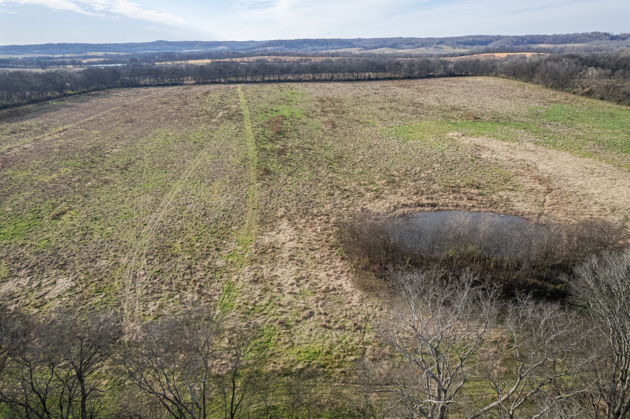 815 South Cross Bridges Road Mount Pleasant, TN 38474 - Photo 42 of 62 a view of a pathway both side of house