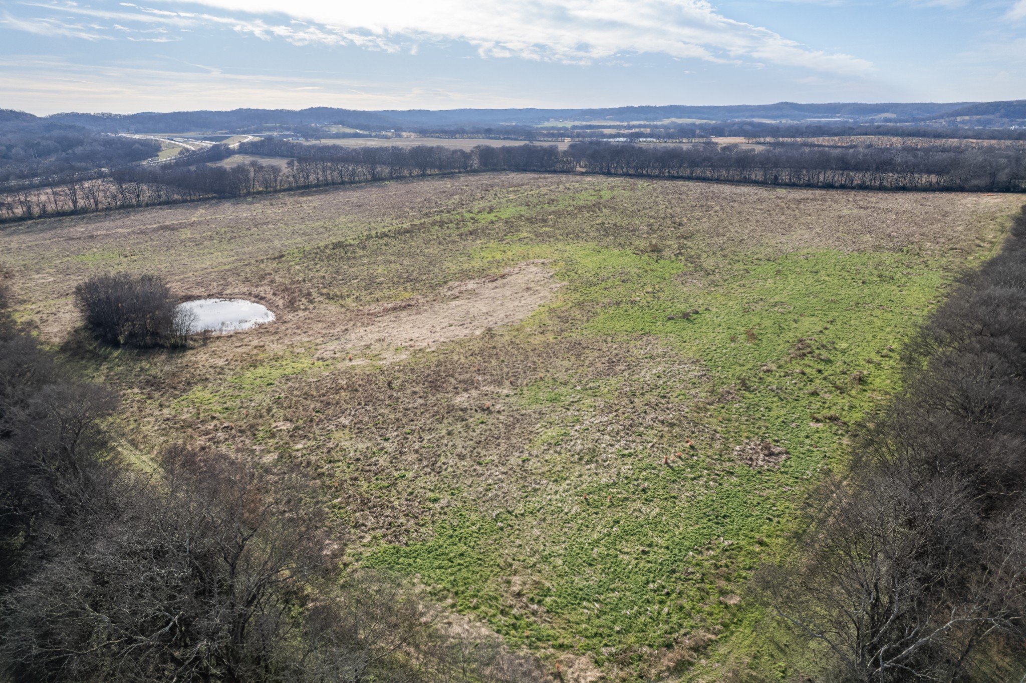 815 South Cross Bridges Road Mount Pleasant, TN 38474 - Photo 43 of 62 a view of a yard with an outdoor space