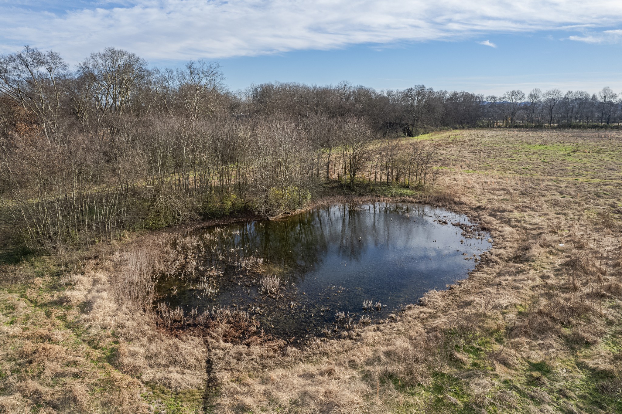 815 South Cross Bridges Road Mount Pleasant, TN 38474 - Photo 45 of 62