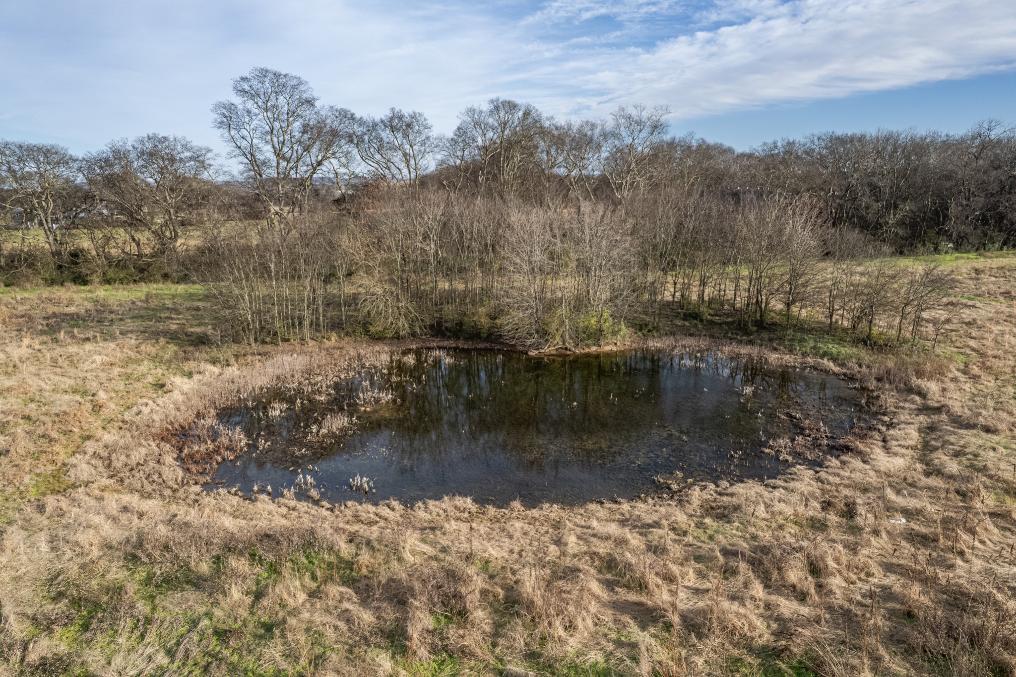 815 South Cross Bridges Road Mount Pleasant, TN 38474 - Photo 46 of 62