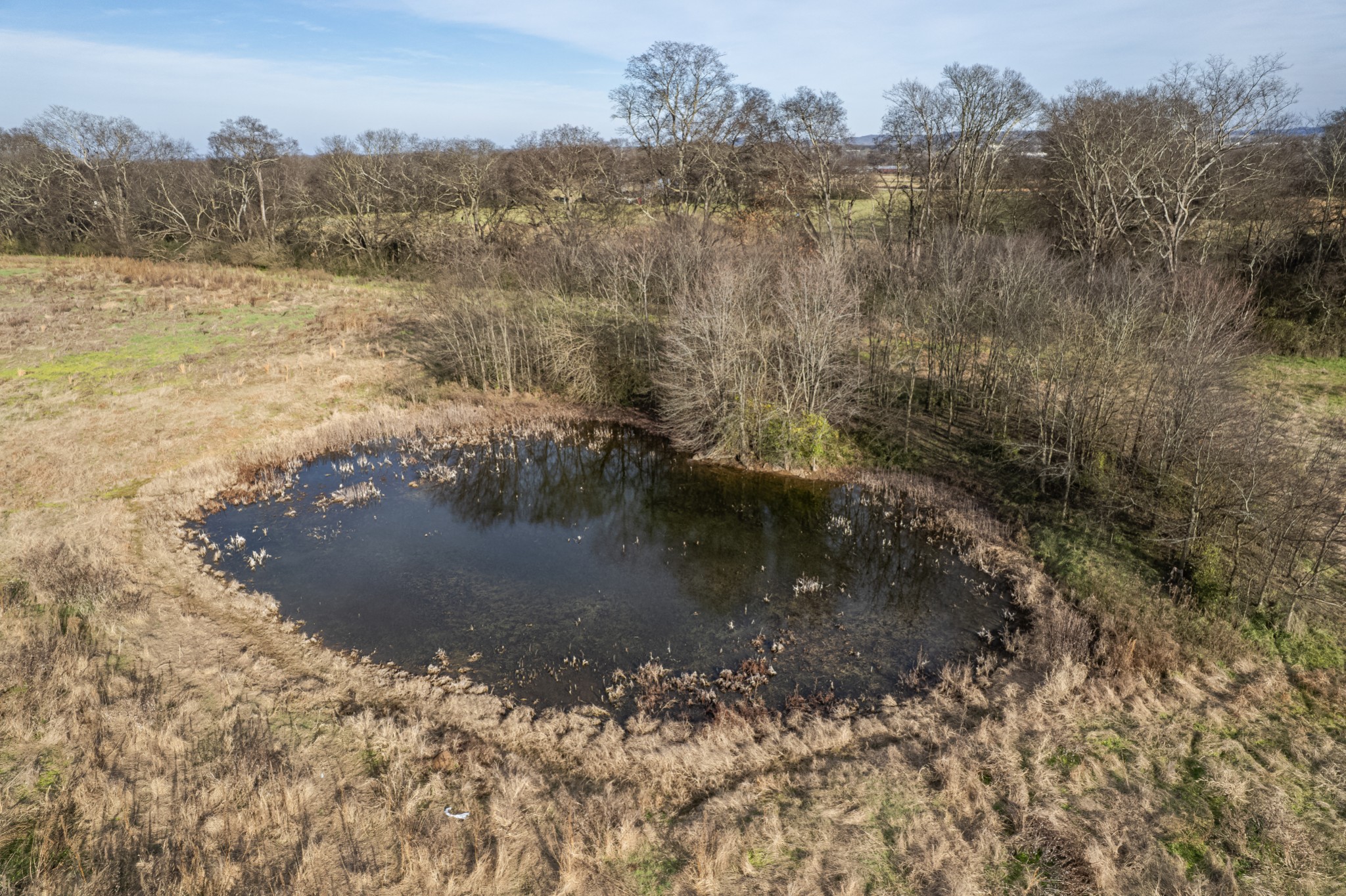 815 South Cross Bridges Road Mount Pleasant, TN 38474 - Photo 47 of 62