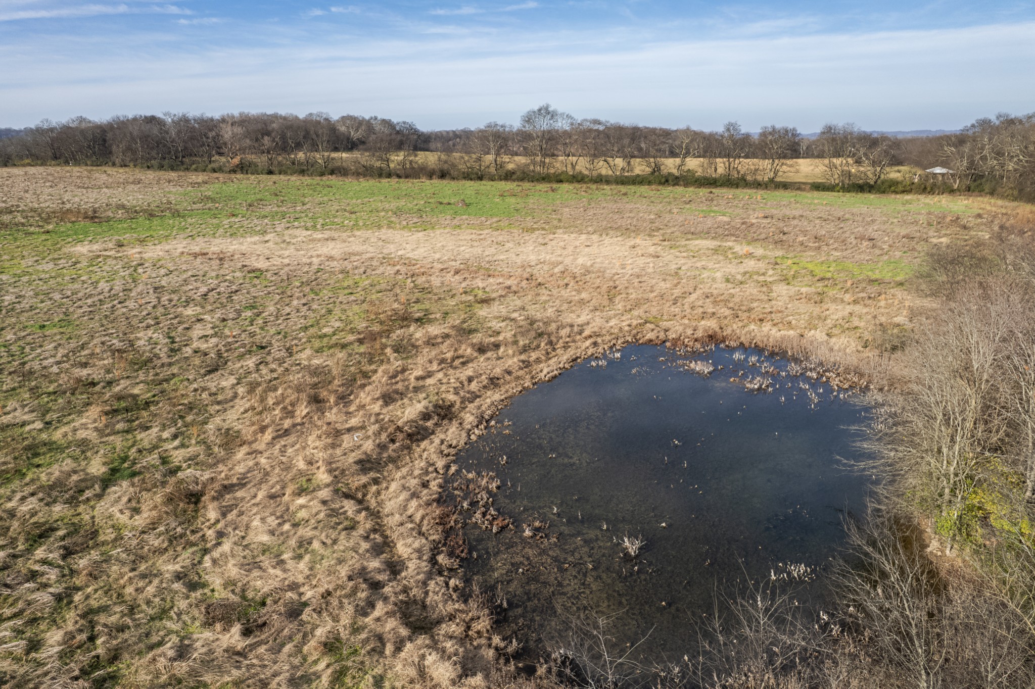 815 South Cross Bridges Road Mount Pleasant, TN 38474 - Photo 48 of 62 a view of a lake with outdoor space
