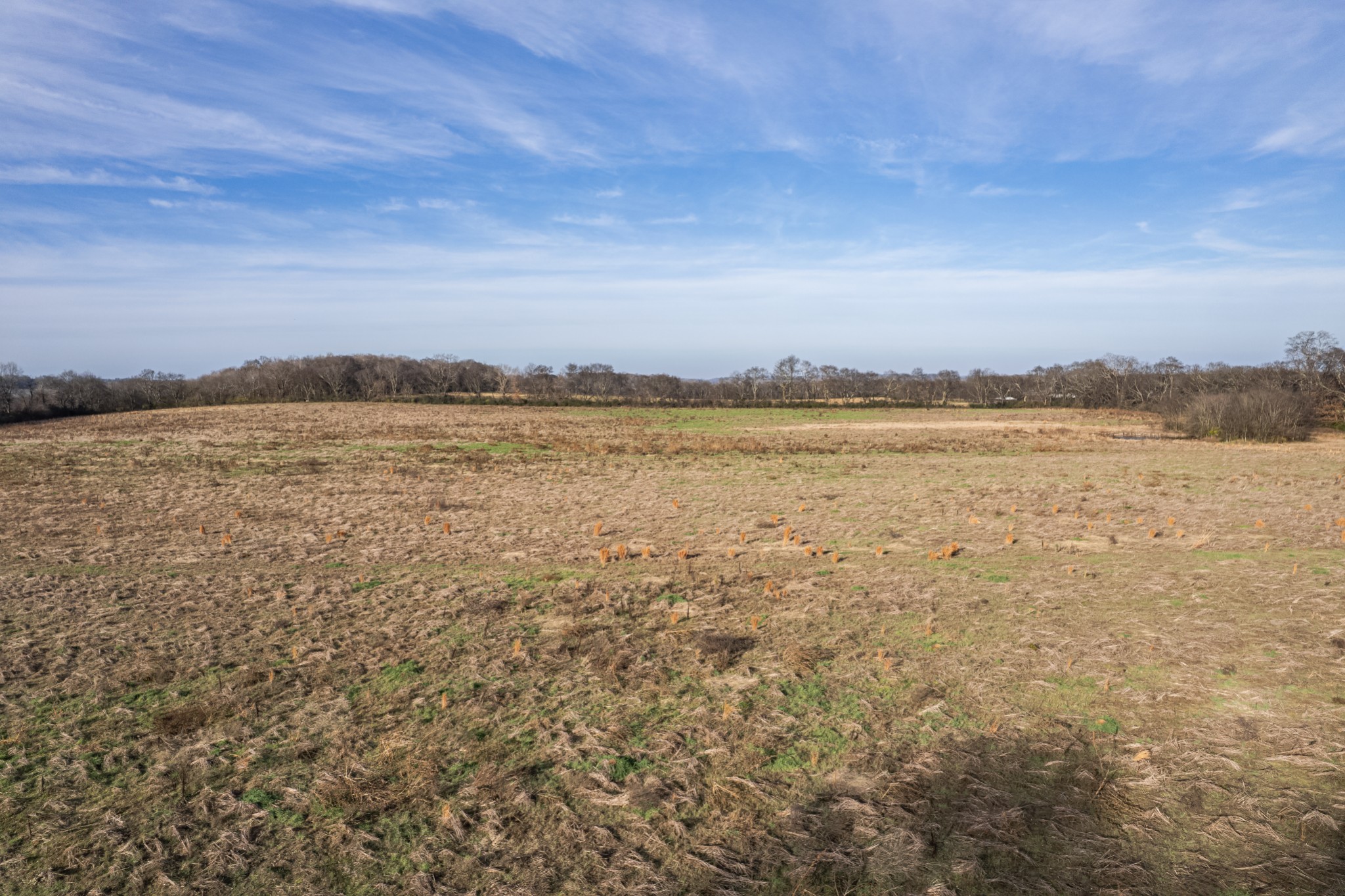 815 South Cross Bridges Road Mount Pleasant, TN 38474 - Photo 53 of 62