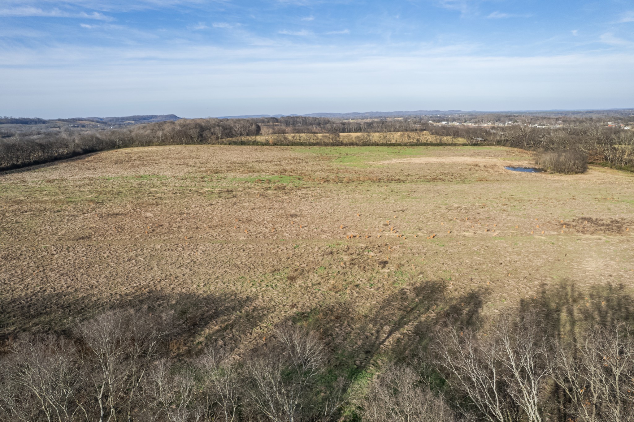 815 South Cross Bridges Road Mount Pleasant, TN 38474 - Photo 54 of 62 a view of an ocean