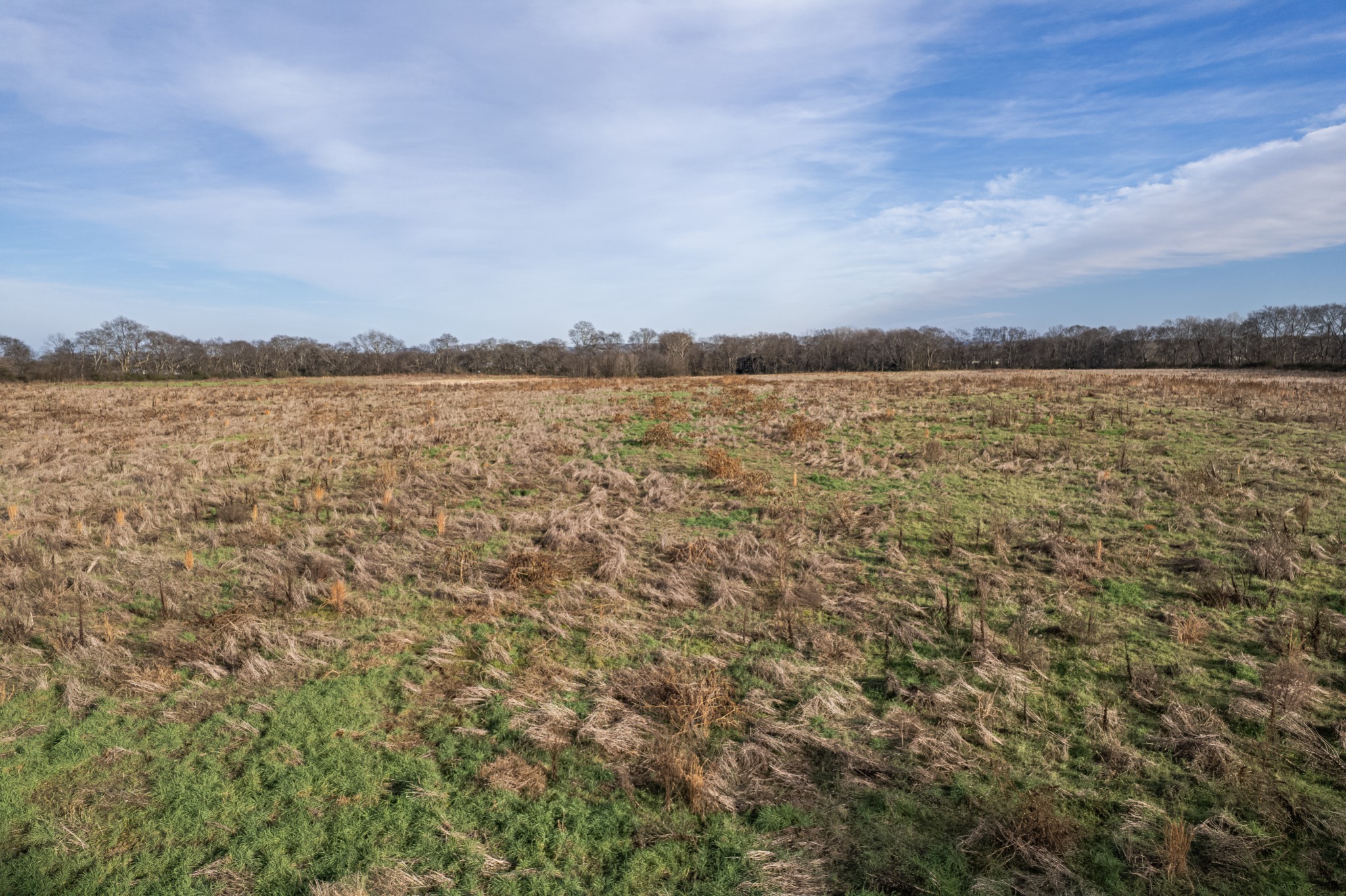 815 South Cross Bridges Road Mount Pleasant, TN 38474 - Photo 56 of 62