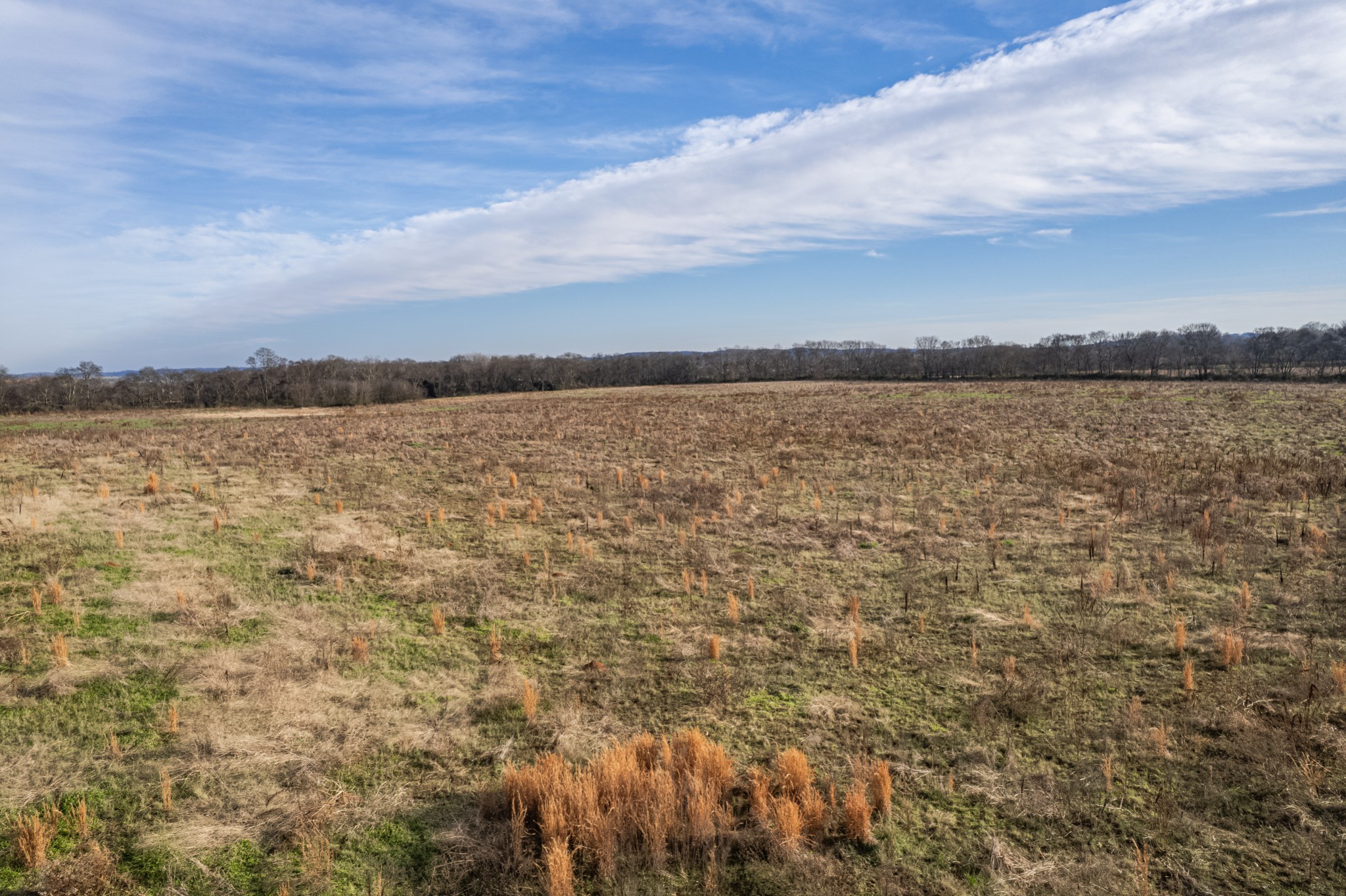 815 South Cross Bridges Road Mount Pleasant, TN 38474 - Photo 59 of 62
