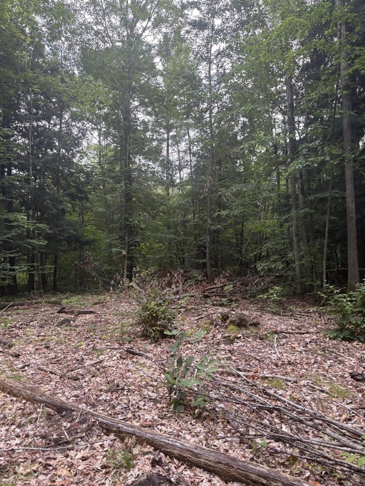 5 5 Mile Road Howard City, MI 49329 - Photo 70 of 99 Gallery Image 70