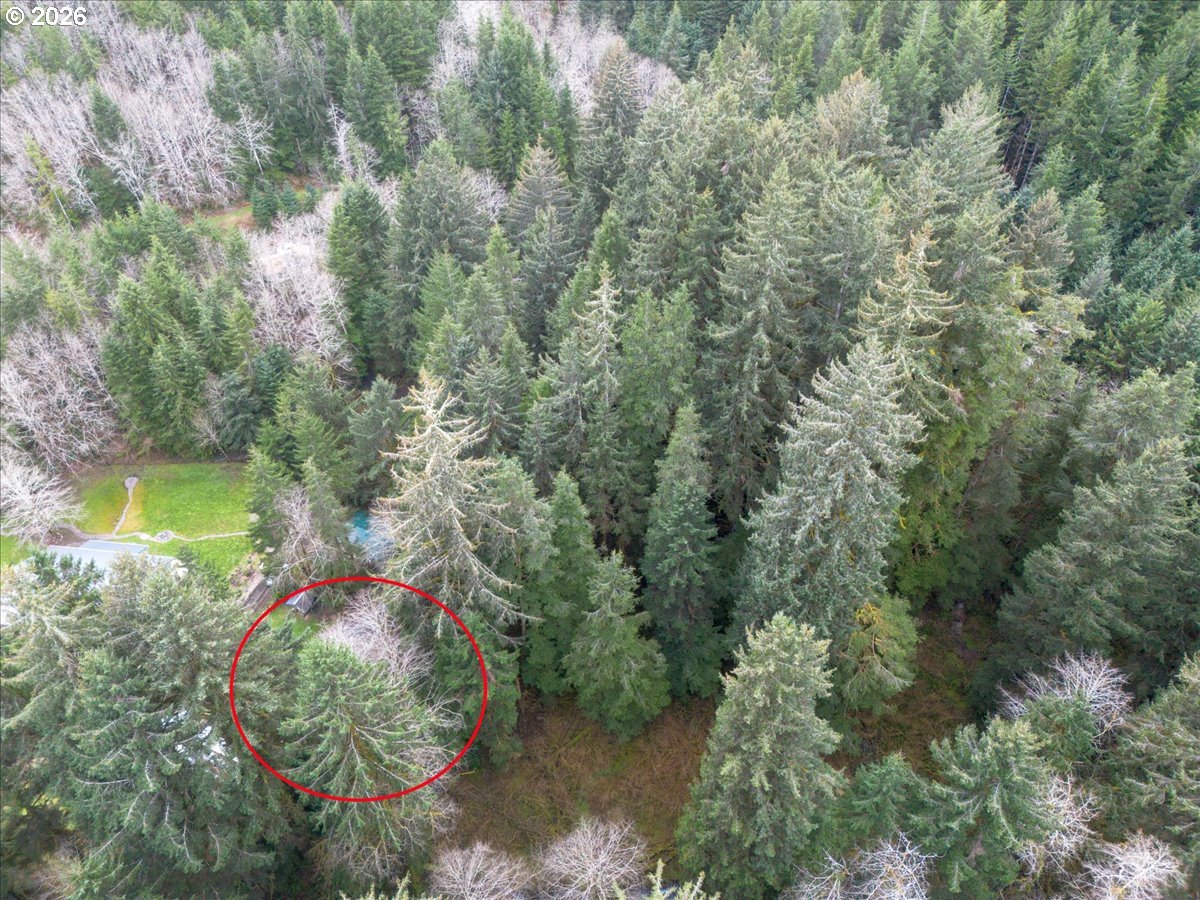 10840 Tillicum Loop Neskowin, OR 97149 - Photo 12 of 17 an aerial view of a house with a yard and lake view