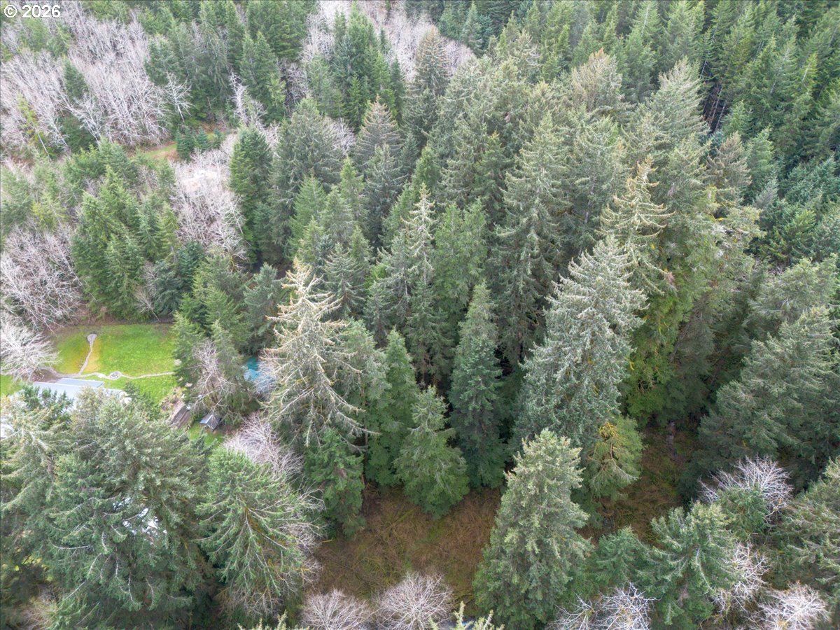 10840 Tillicum Loop Neskowin, OR 97149 - Photo 13 of 17 a view of a lake from a forest