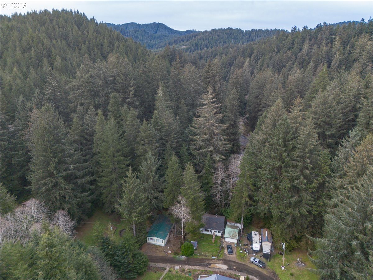 10840 Tillicum Loop Neskowin, OR 97149 - Photo 4 of 17 a view of a city with lush green forest
