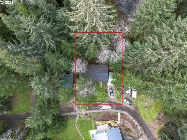 an aerial view of a house with a yard and large trees