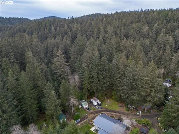 a view of a city with lush green forest