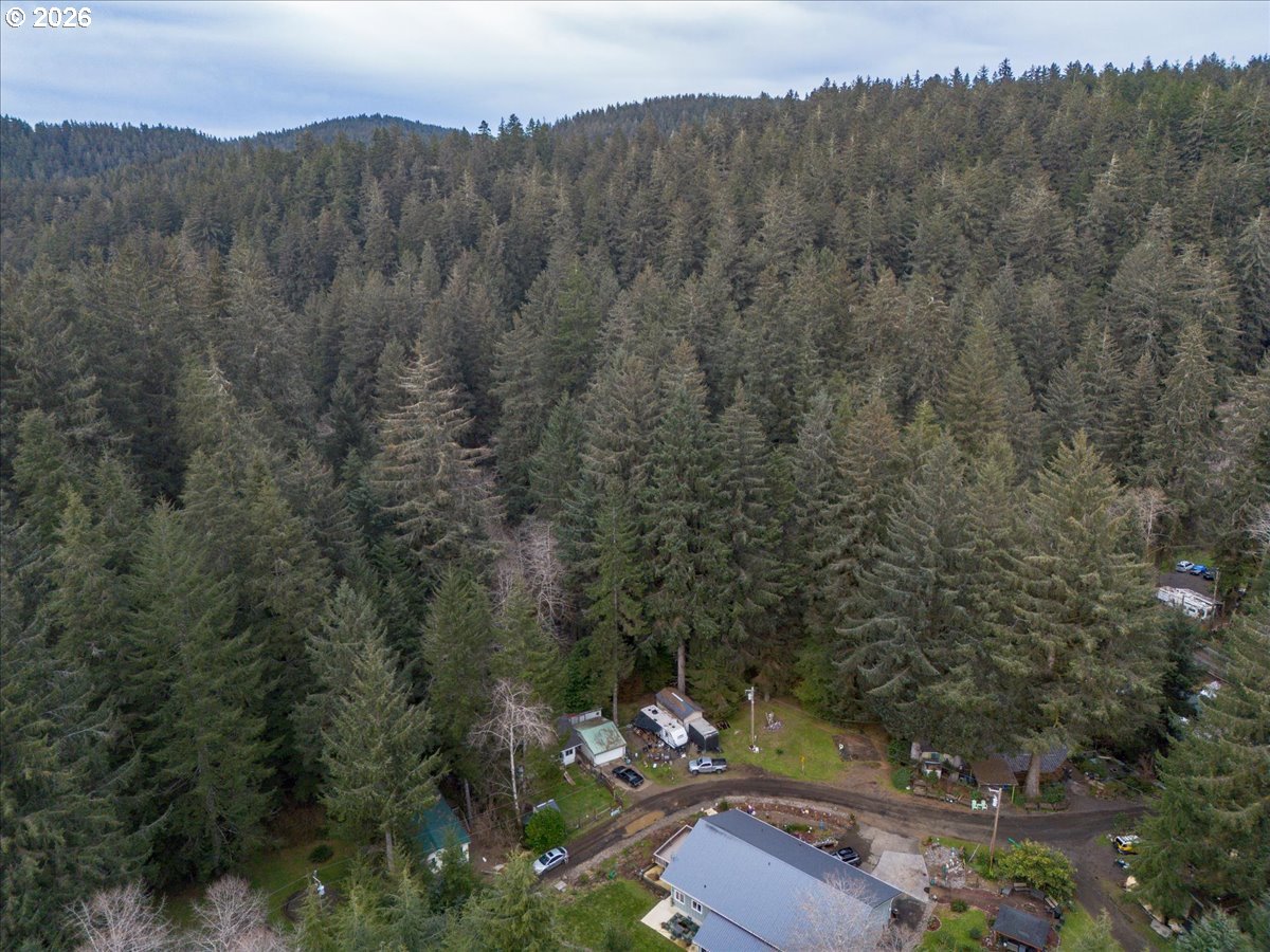 10840 Tillicum Loop Neskowin, OR 97149 - Photo 8 of 17 a view of a city with lush green forest
