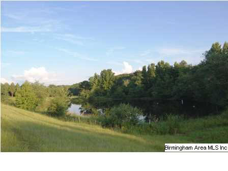 509 County Road, Unit 40 Woodland, AL 36280 - Photo 6 of 21