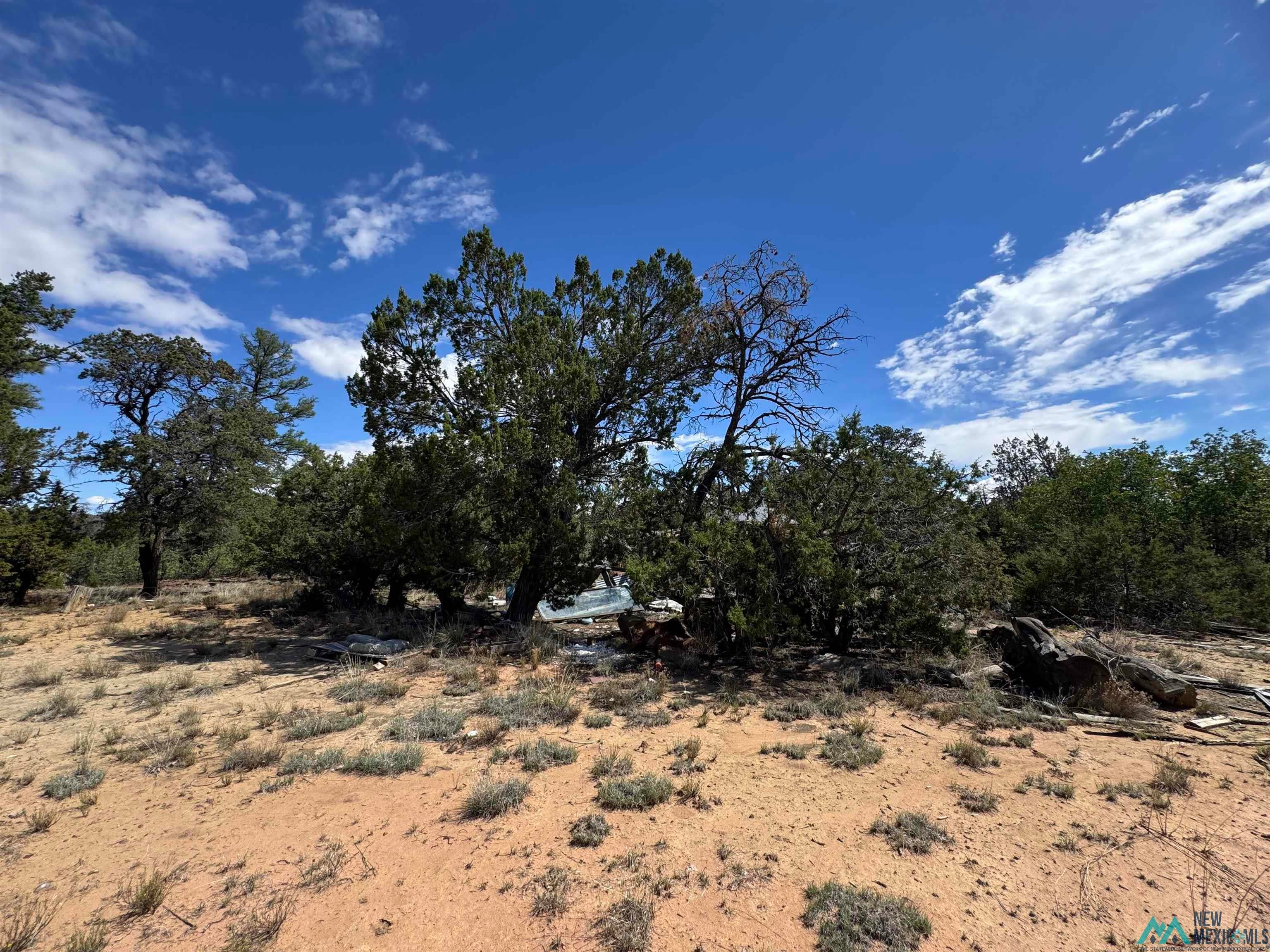 13 Davids Rock Road Candy Kitchen, NM 87357 - Photo 17 of 22 View of undeveloped land