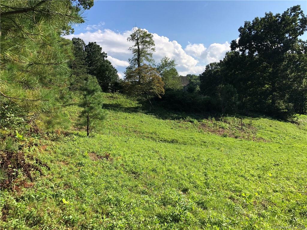 60 Porters Ridge Canton, NC 28716 - Photo 11 of 15