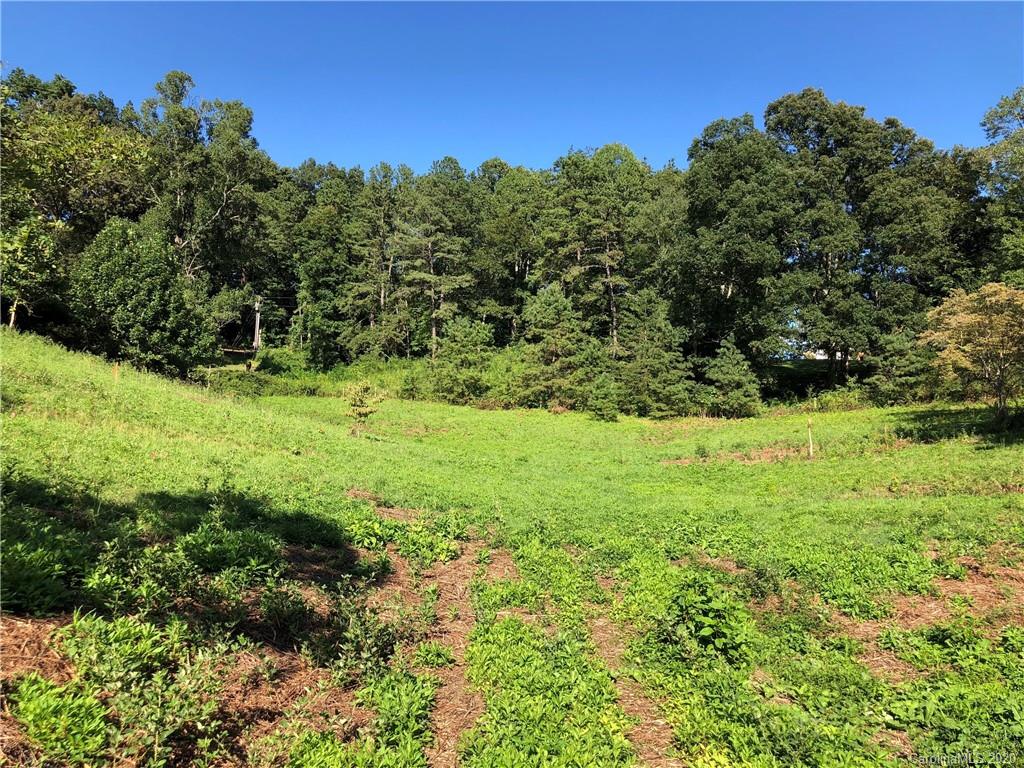 60 Porters Ridge Canton, NC 28716 - Photo 10 of 15