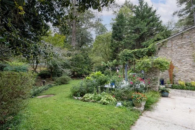 a view of a garden with plants and large trees