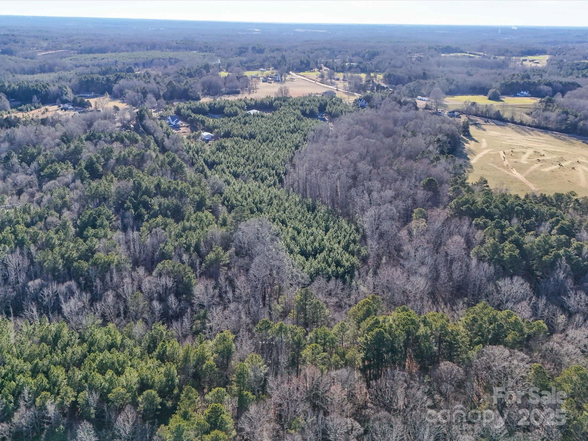 Lot #6 Otis Crosby Road York, SC 29745 - Photo 3 of 8 Gallery Image 3