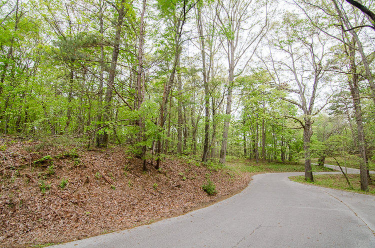 7035 Glover Road, Unit TRACT 6 Chattanooga, TN 37416 - Photo 3 of 7 2