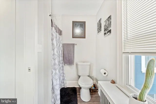 a bathroom with a toilet a sink and a shower curtain