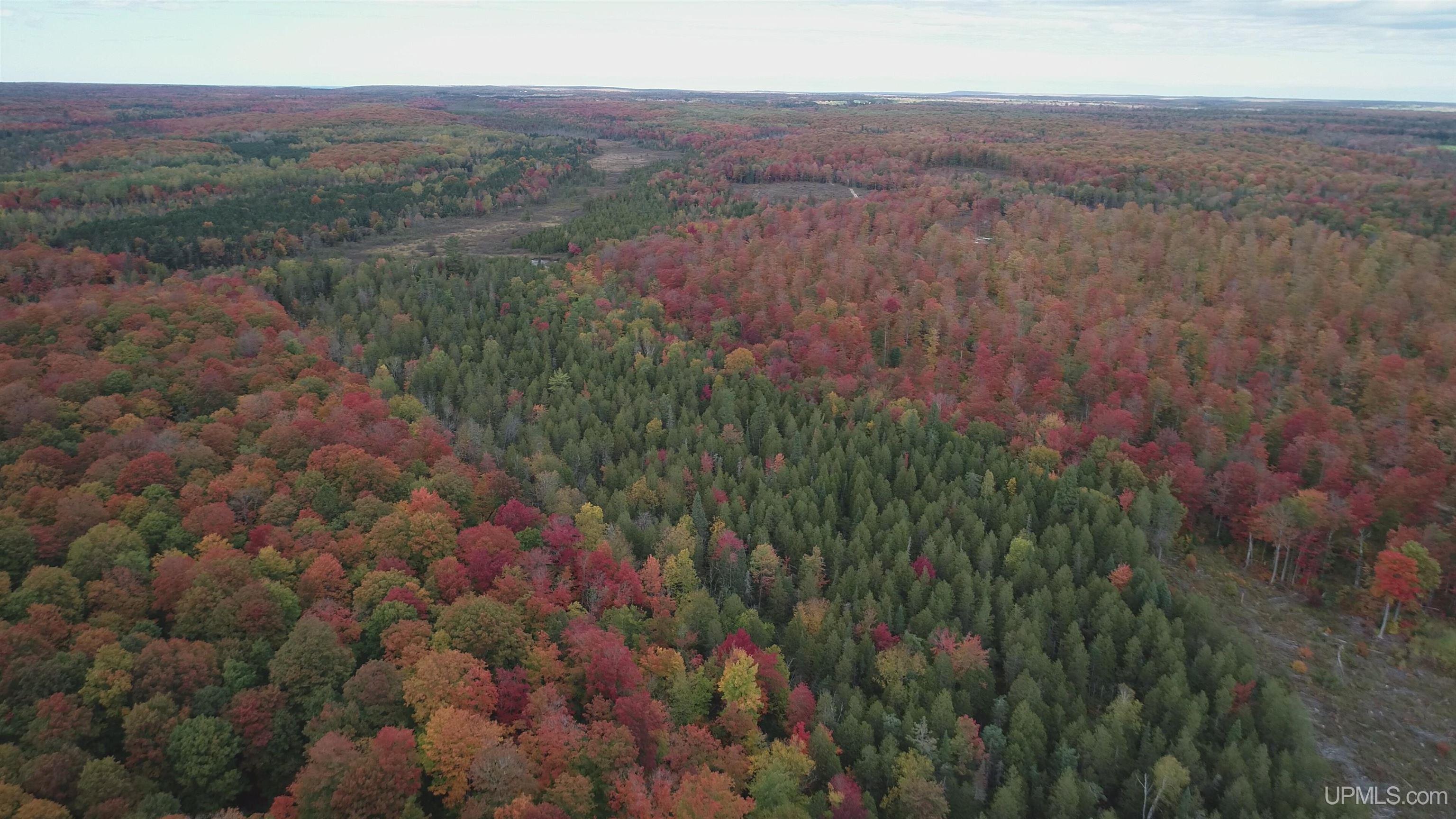 327 Rd Rumely Mi 49826 Road Skandia, MI 49885 - Photo 20 of 23