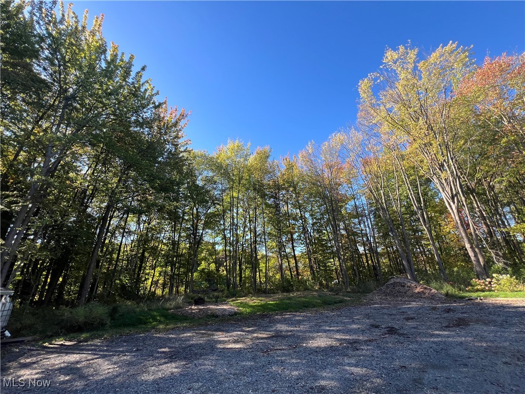 8625 Bainbridge Road Chagrin Falls, OH 44023 - Photo 7 of 20 View of street with a wooded view