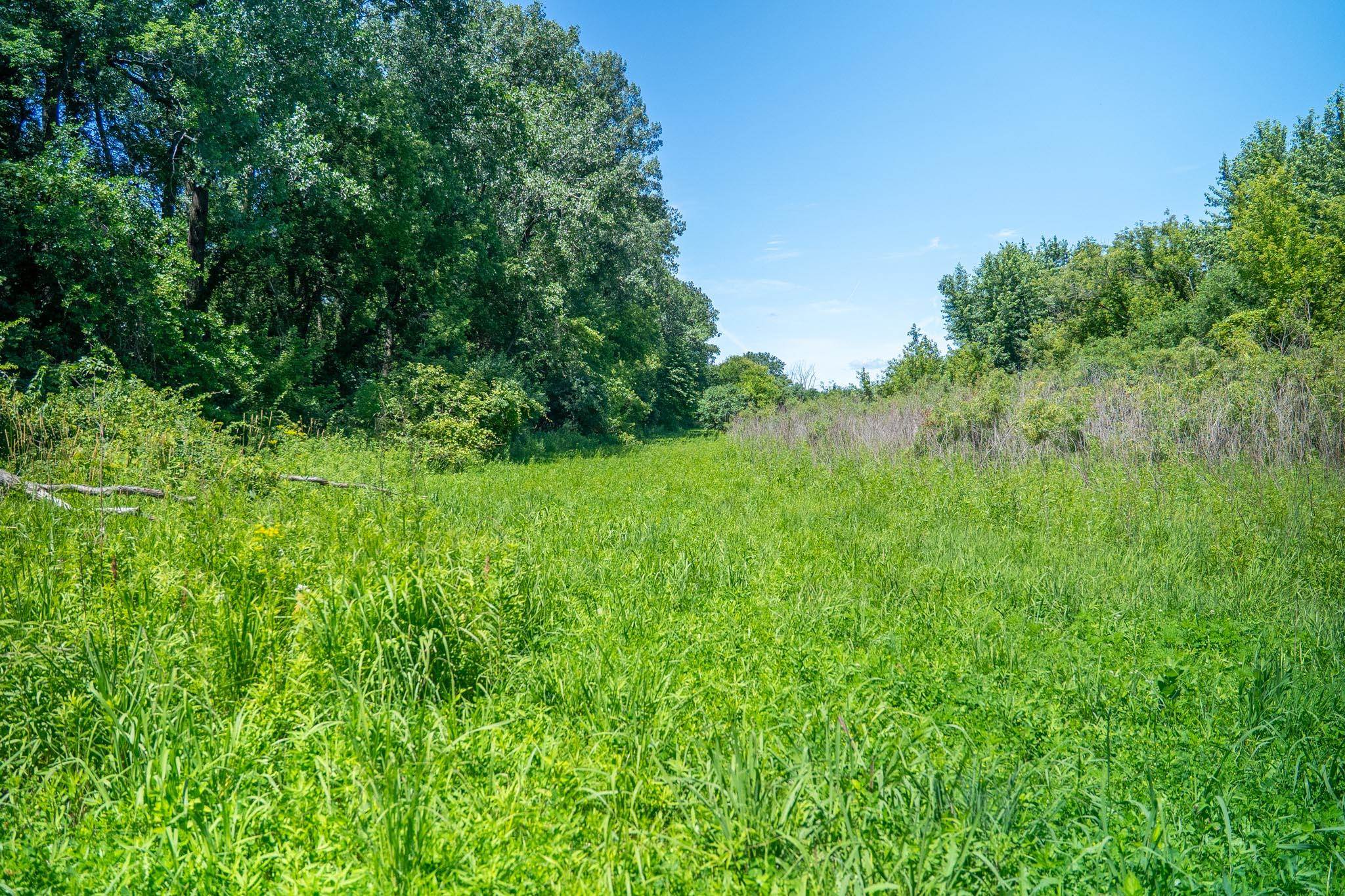 0 Inlet Road Amboy, IL 61310 - Photo 71 of 83