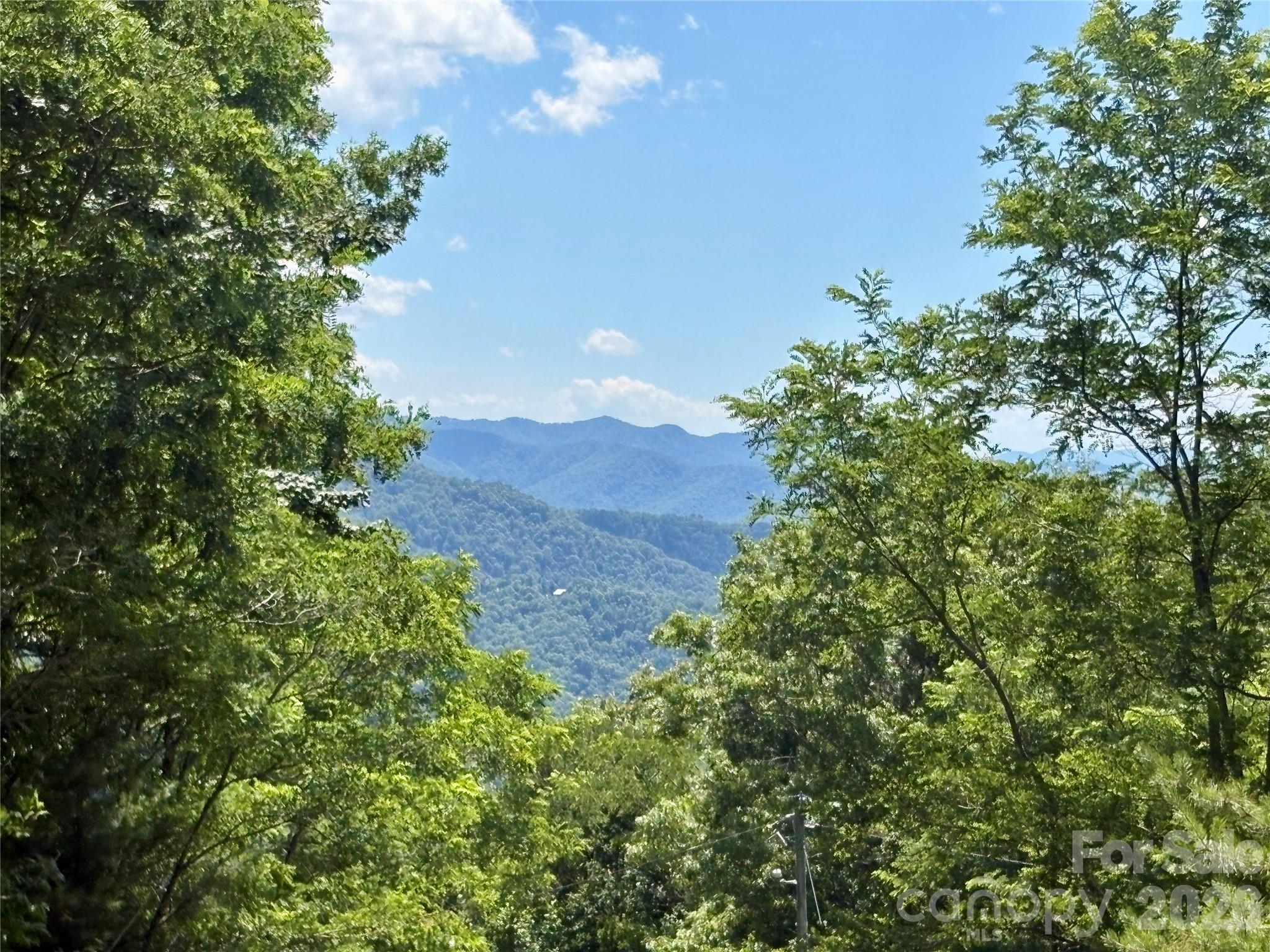 0 Eagles Roost Road, Unit 70 Bryson City, NC 28713 - Photo 2 of 13