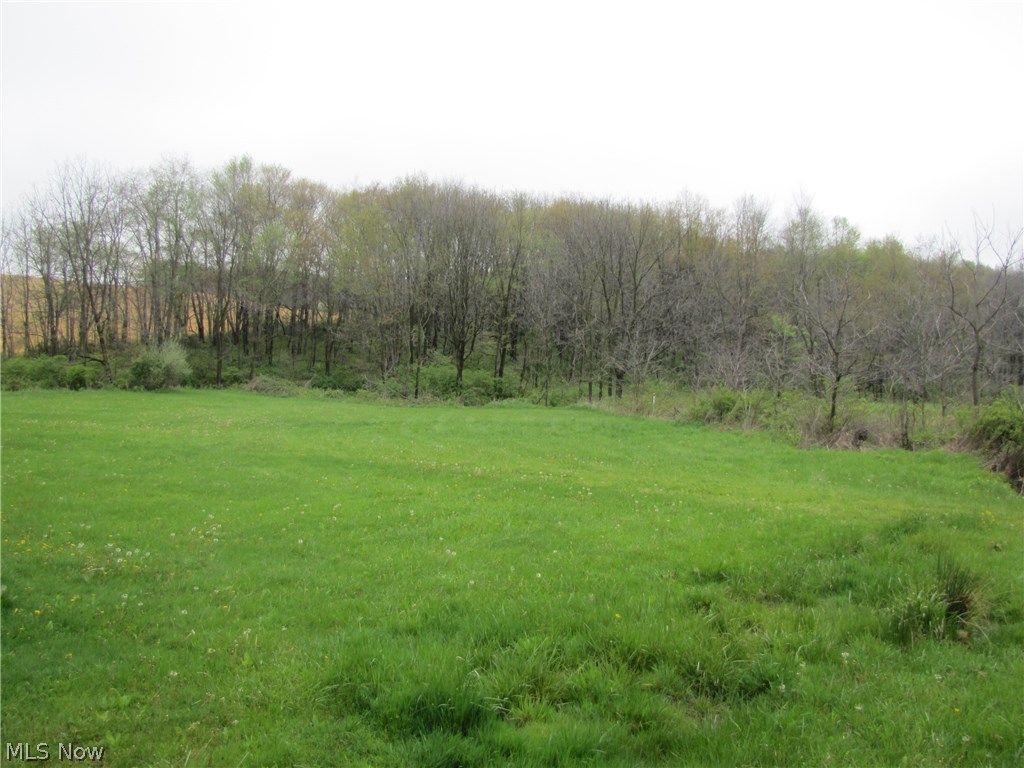 Valley Road Sugarcreek, OH 44681 - Photo 10 of 13 Gallery Image 10