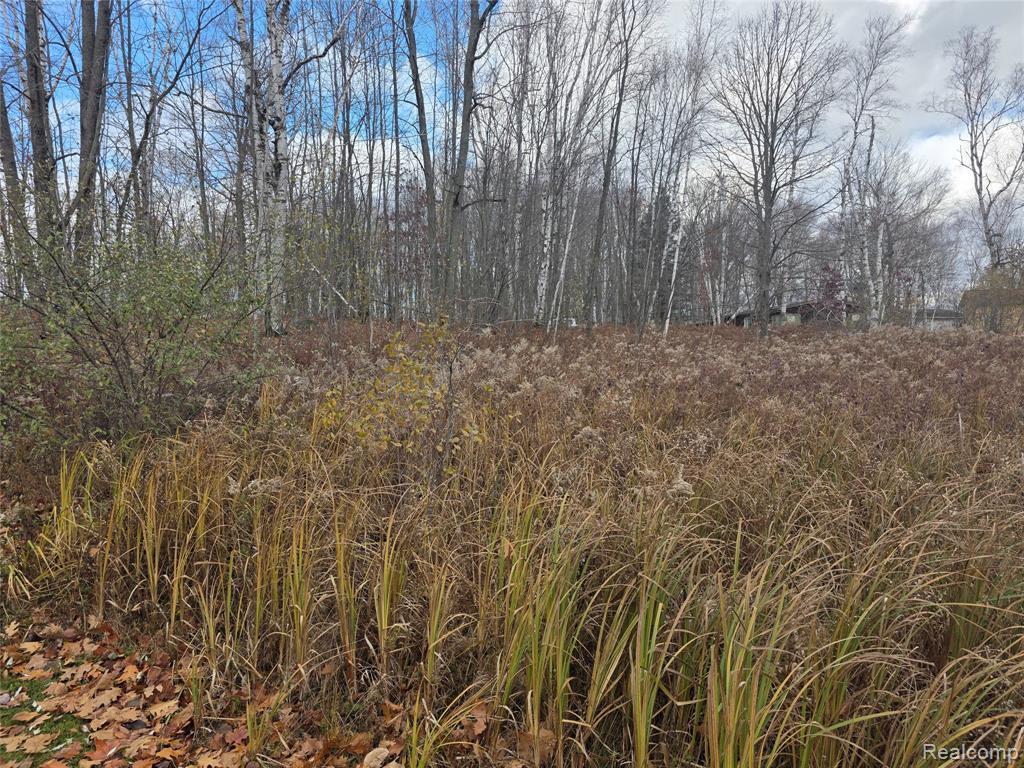 Vl Birch Road Evart, MI 49631 - Photo 7 of 8