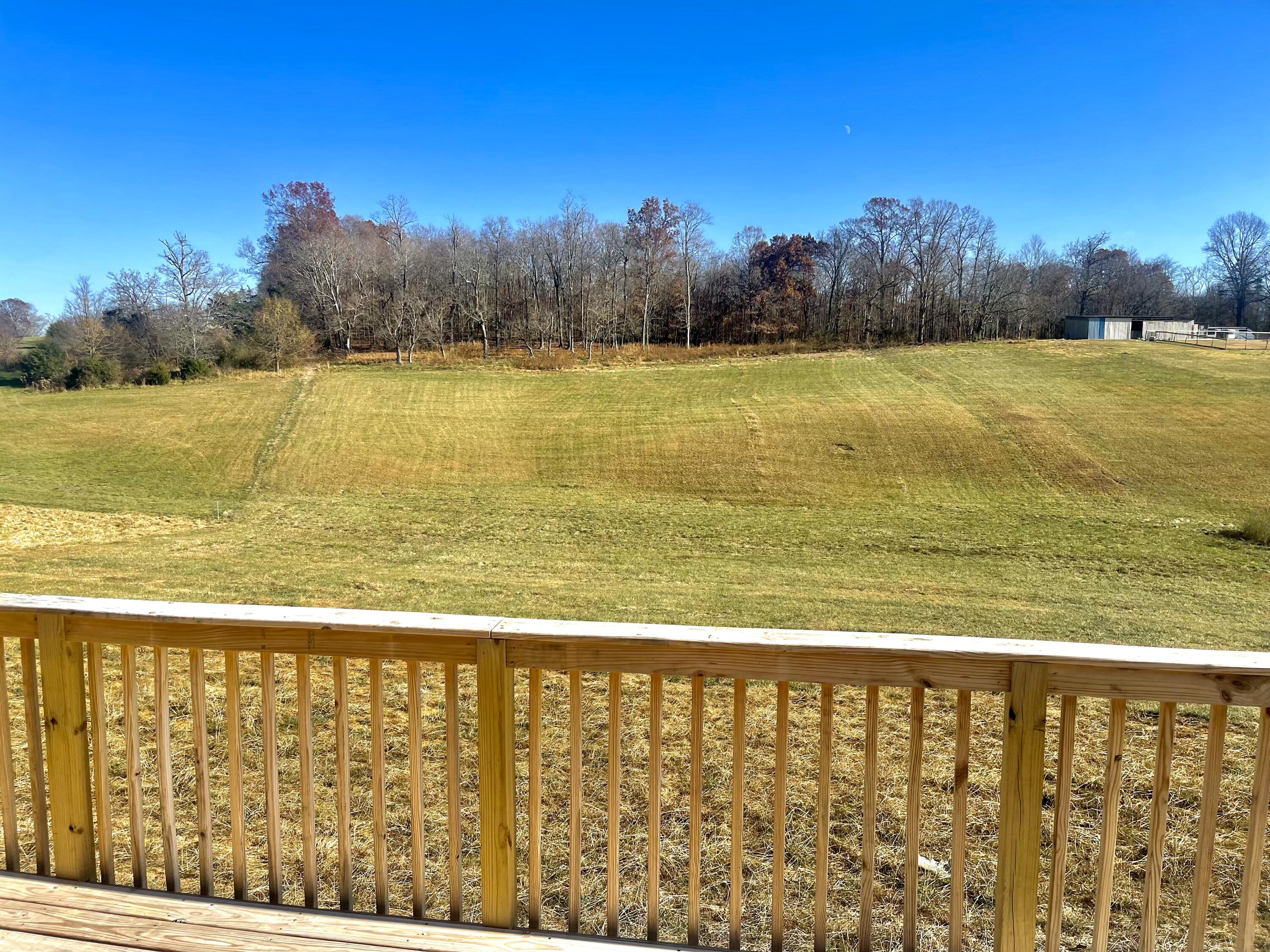 175 backyard