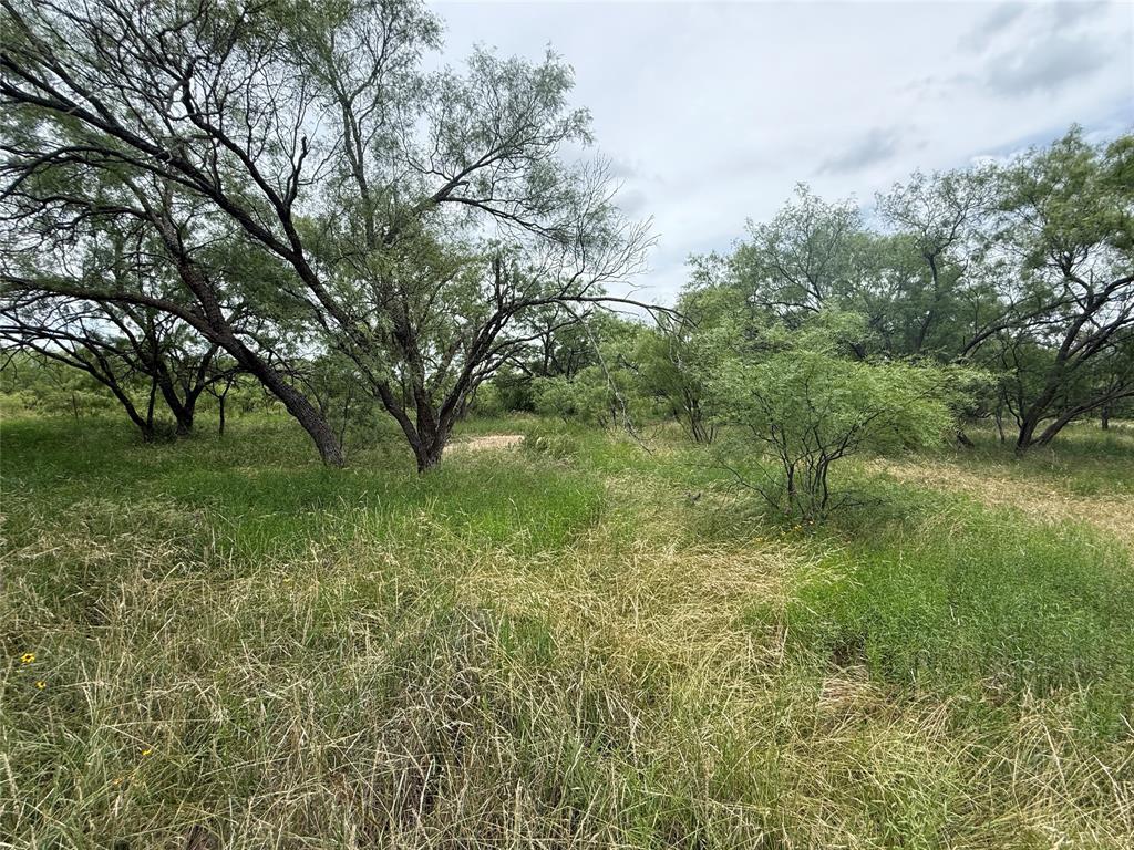 Tbd Coppic Ranch Road Brownwood, TX 76801 - Photo 13 of 13