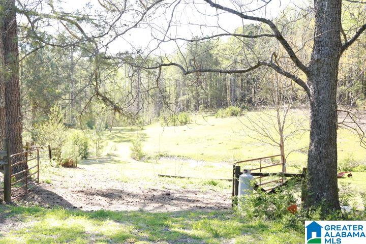8581 Highway 10 Montevallo, AL 35115 - Photo 3 of 19