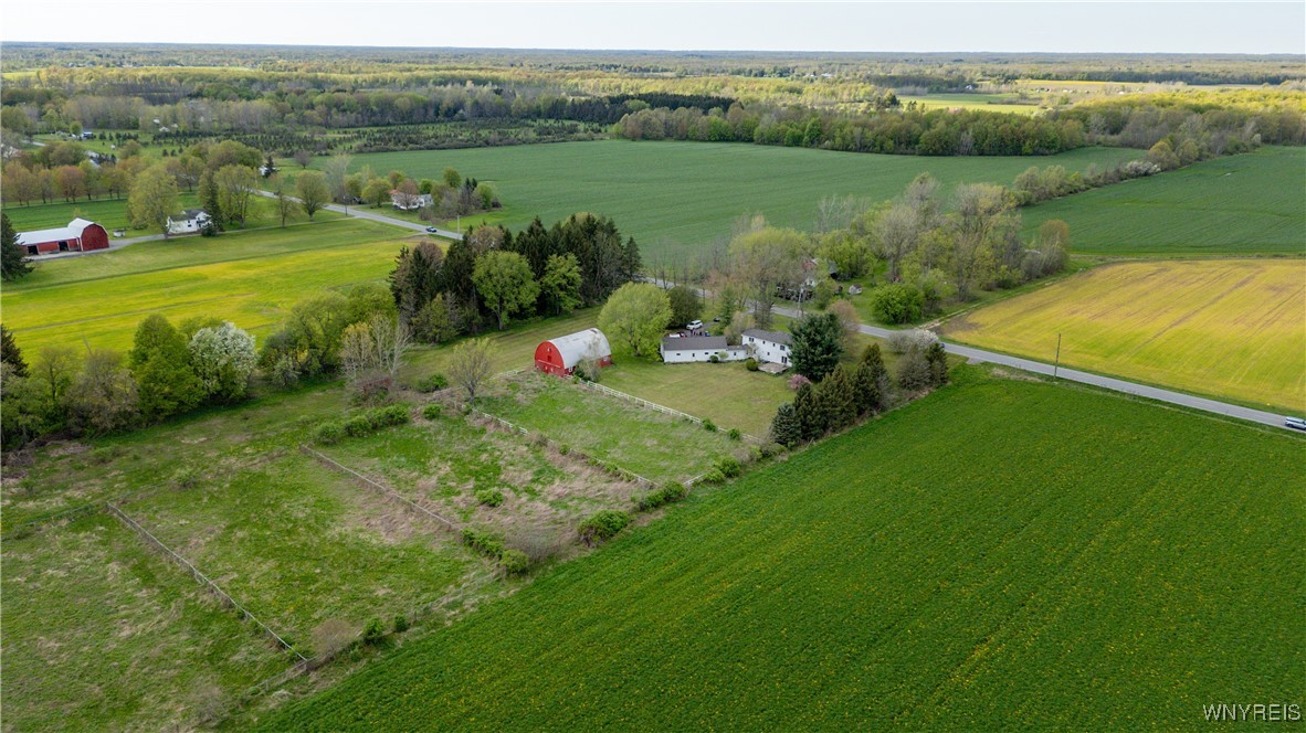 11541 Hunts Corners Road Newstead, NY 14001 - Photo 44 of 50