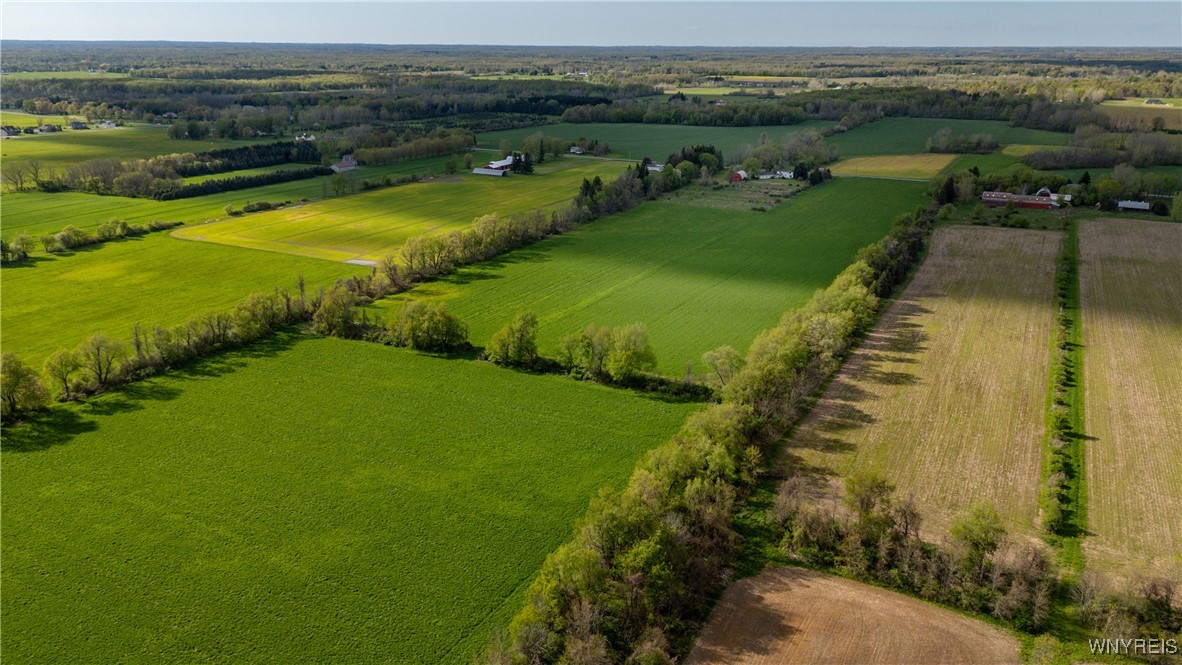 11541 Hunts Corners Road Newstead, NY 14001 - Photo 46 of 50