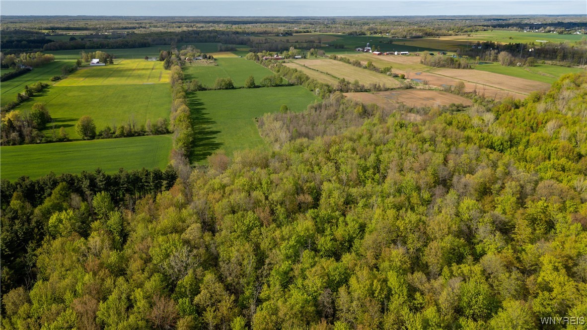 11541 Hunts Corners Road Newstead, NY 14001 - Photo 48 of 50