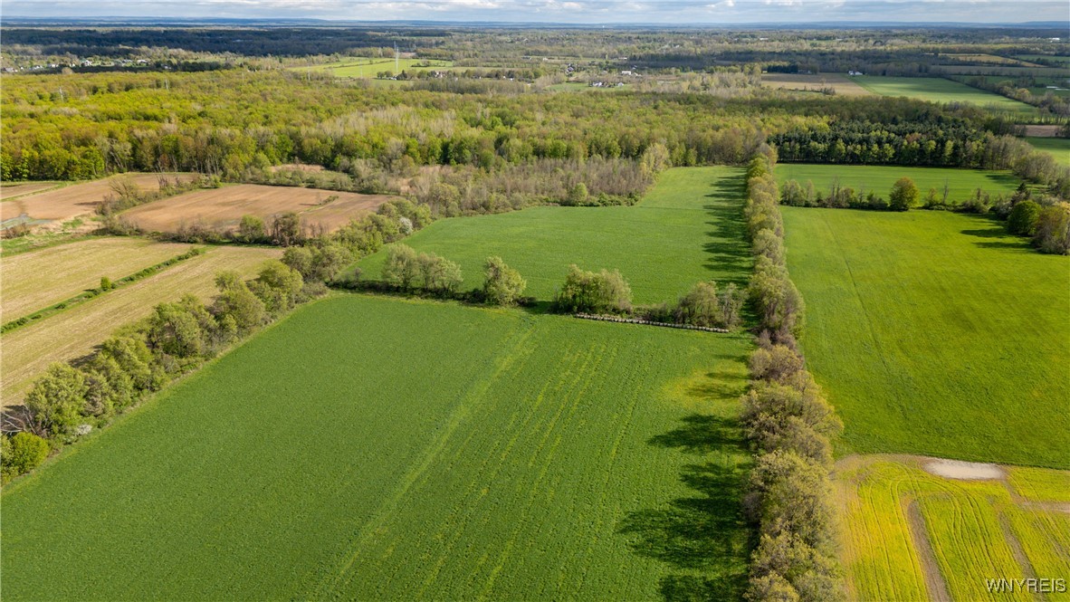 11541 Hunts Corners Road Newstead, NY 14001 - Photo 49 of 50