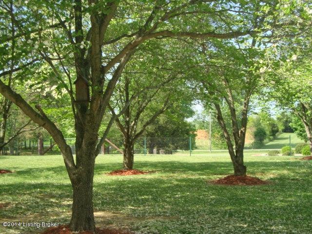 125 Buck Knobs Road Ekron, KY 40117 - Photo 32 of 45 yard back